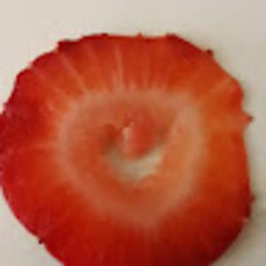 Meet your Posher, Kerstin